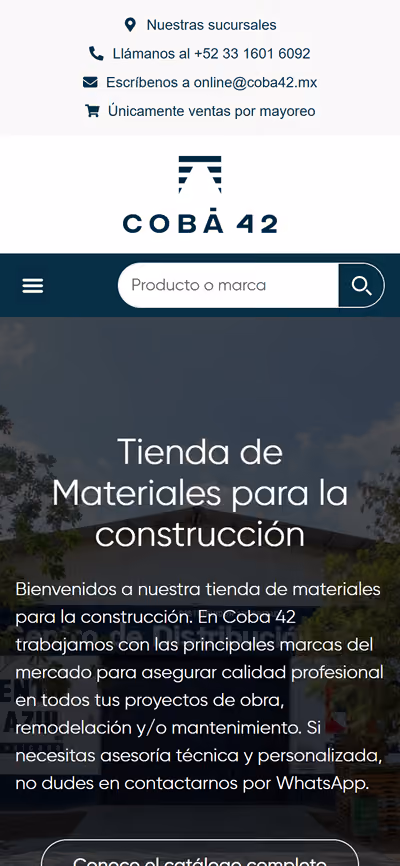 Web de Coba 42 en móvil: otra página