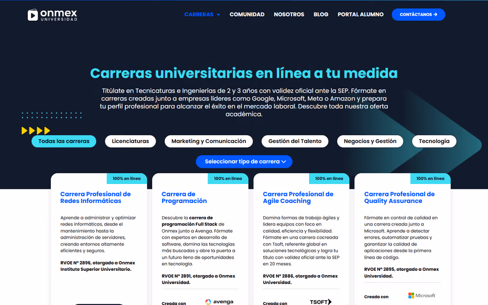 Otra página de la web de Onmex en ordenador
