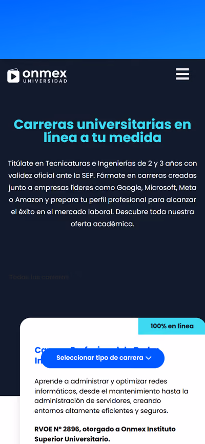 Web de Onmex en móvil: otra página